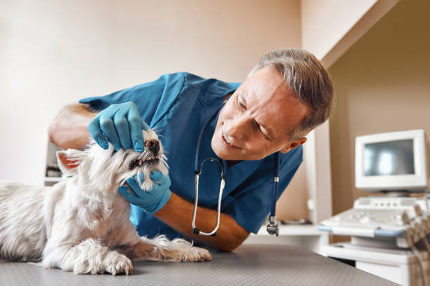 Best Emergency Dental Extractions in Bellflower, CA
